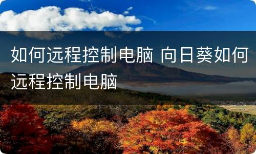 如何远程控制电脑 向日葵如何远程控制电脑