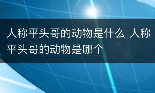 人称平头哥的动物是什么 人称平头哥的动物是哪个