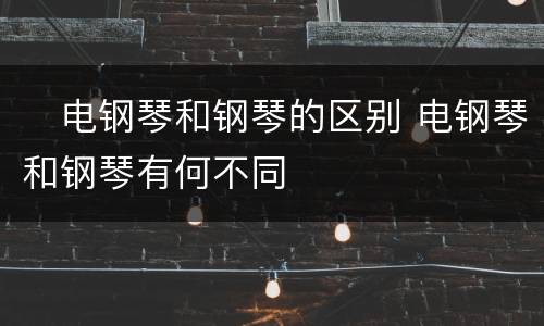 ​电钢琴和钢琴的区别 电钢琴和钢琴有何不同