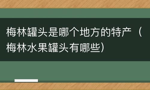 梅林罐头是哪个地方的特产（梅林水果罐头有哪些）