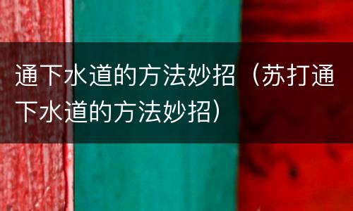 通下水道的方法妙招（苏打通下水道的方法妙招）