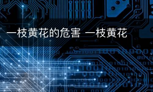 一枝黄花的危害 一枝黄花