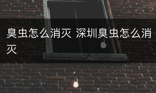 臭虫怎么消灭 深圳臭虫怎么消灭