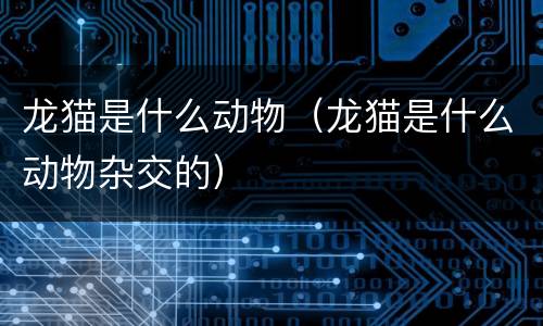 龙猫是什么动物（龙猫是什么动物杂交的）