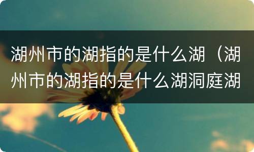 湖州市的湖指的是什么湖（湖州市的湖指的是什么湖洞庭湖）