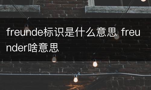 freunde标识是什么意思 freunder啥意思