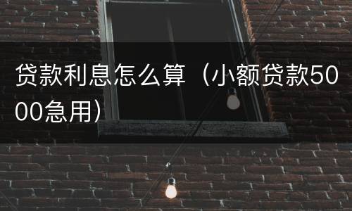 贷款利息怎么算（小额贷款5000急用）