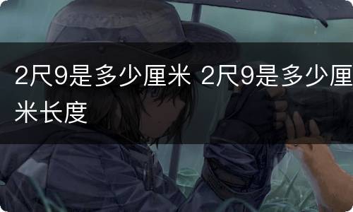 2尺9是多少厘米 2尺9是多少厘米长度
