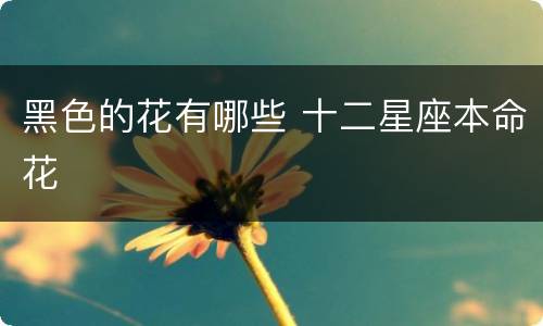 黑色的花有哪些 十二星座本命花