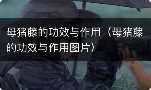 母猪藤的功效与作用（母猪藤的功效与作用图片）