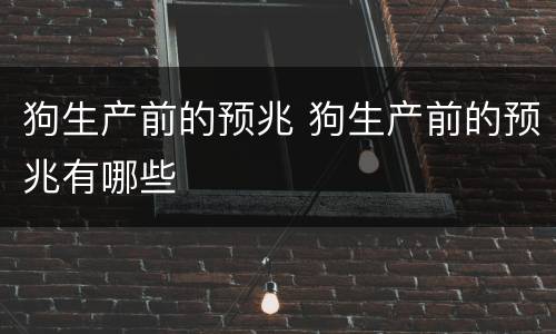 狗生产前的预兆 狗生产前的预兆有哪些