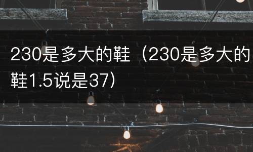 230是多大的鞋（230是多大的鞋1.5说是37）