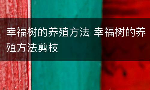 幸福树的养殖方法 幸福树的养殖方法剪枝