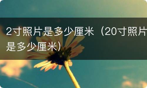 2寸照片是多少厘米（20寸照片是多少厘米）