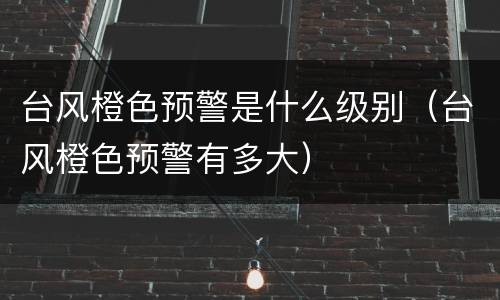 台风橙色预警是什么级别（台风橙色预警有多大）
