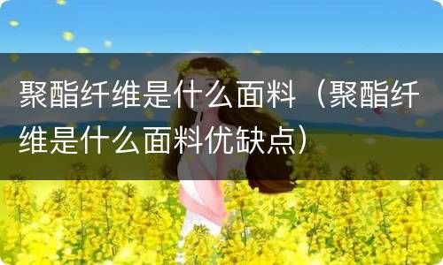 聚酯纤维是什么面料（聚酯纤维是什么面料优缺点）