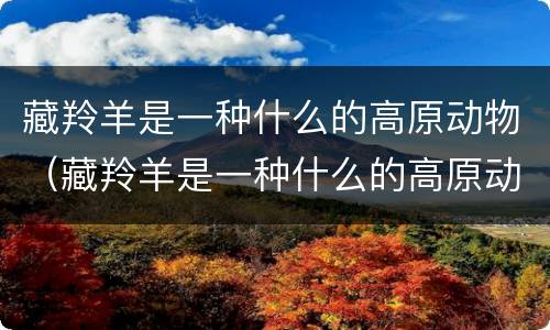 藏羚羊是一种什么的高原动物（藏羚羊是一种什么的高原动物呢）