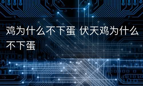 鸡为什么不下蛋 伏天鸡为什么不下蛋
