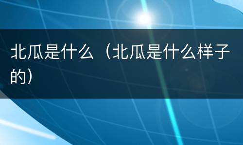 北瓜是什么（北瓜是什么样子的）