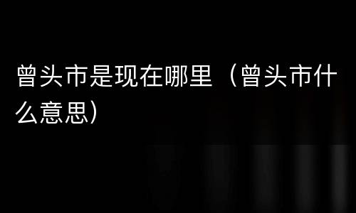 曾头市是现在哪里（曾头市什么意思）