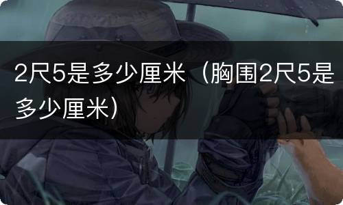2尺5是多少厘米（胸围2尺5是多少厘米）