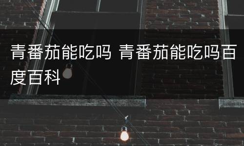 青番茄能吃吗 青番茄能吃吗百度百科
