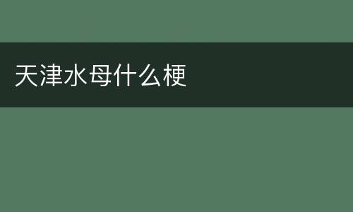 天津水母什么梗