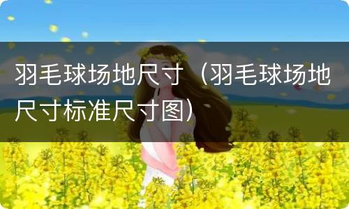 羽毛球场地尺寸（羽毛球场地尺寸标准尺寸图）