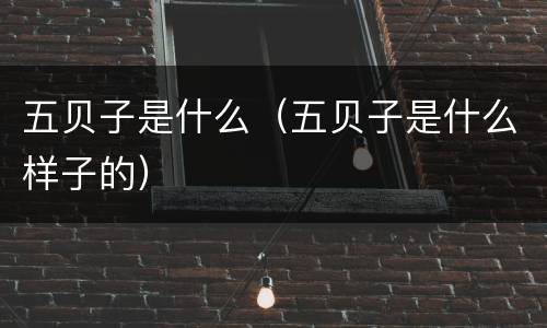 五贝子是什么（五贝子是什么样子的）