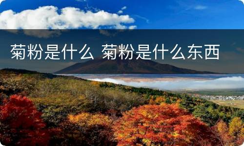 菊粉是什么 菊粉是什么东西