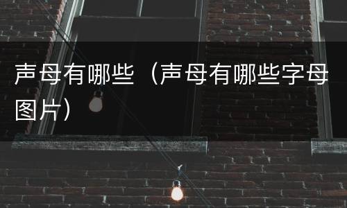 声母有哪些（声母有哪些字母图片）
