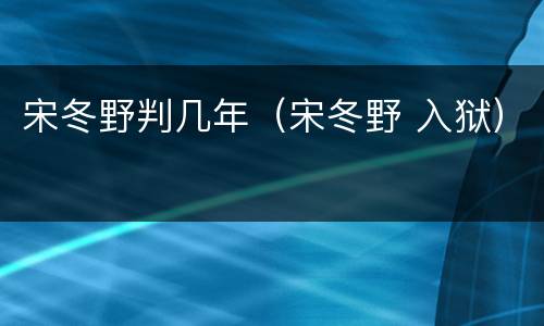 宋冬野判几年（宋冬野 入狱）