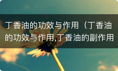 丁香油的功效与作用（丁香油的功效与作用,丁香油的副作用）