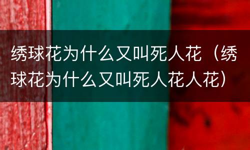 绣球花为什么又叫死人花（绣球花为什么又叫死人花人花）
