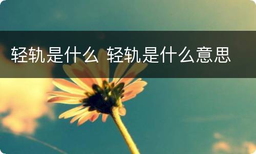 轻轨是什么 轻轨是什么意思