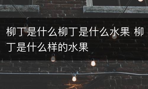 柳丁是什么柳丁是什么水果 柳丁是什么样的水果