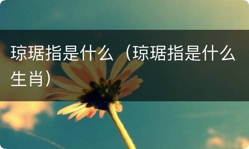 琼琚指是什么（琼琚指是什么生肖）