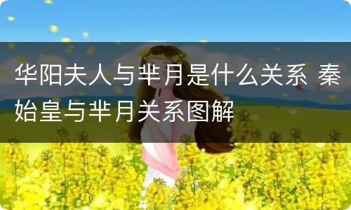 华阳夫人与芈月是什么关系 秦始皇与芈月关系图解