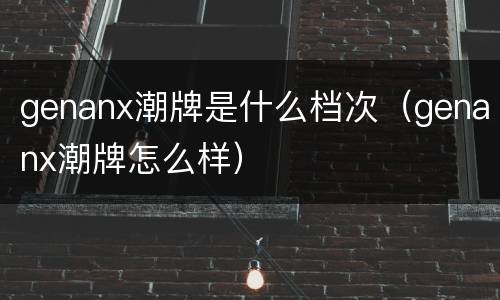 genanx潮牌是什么档次（genanx潮牌怎么样）