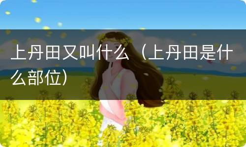 上丹田又叫什么（上丹田是什么部位）