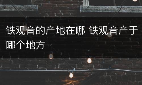 铁观音的产地在哪 铁观音产于哪个地方