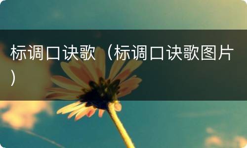 标调口诀歌（标调口诀歌图片）