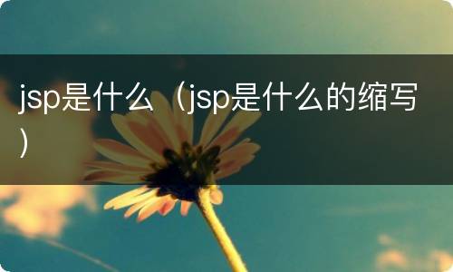 jsp是什么（jsp是什么的缩写）