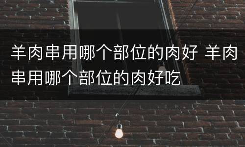 羊肉串用哪个部位的肉好 羊肉串用哪个部位的肉好吃