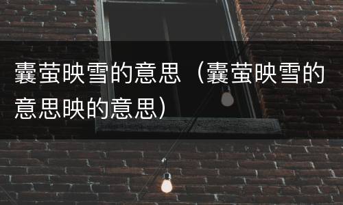 囊萤映雪的意思（囊萤映雪的意思映的意思）