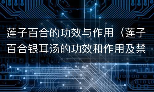 莲子百合的功效与作用（莲子百合银耳汤的功效和作用及禁忌）