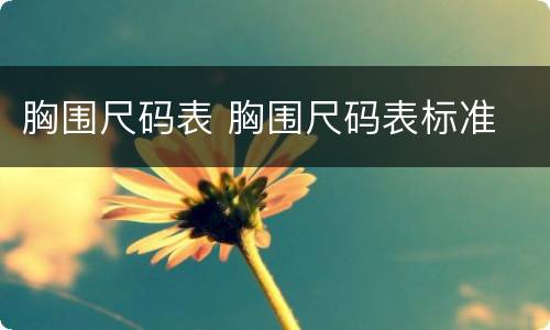 胸围尺码表 胸围尺码表标准