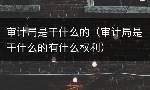 审计局是干什么的（审计局是干什么的有什么权利）