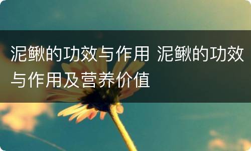 泥鳅的功效与作用 泥鳅的功效与作用及营养价值