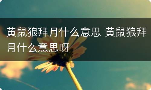 黄鼠狼拜月什么意思 黄鼠狼拜月什么意思呀